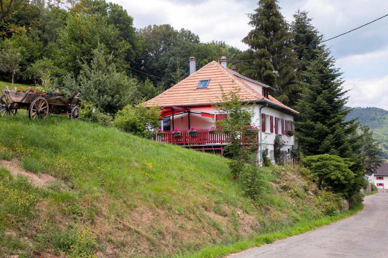 Gite Chez Mimie Breitenbach-Haut-Rhin Extérieur photo