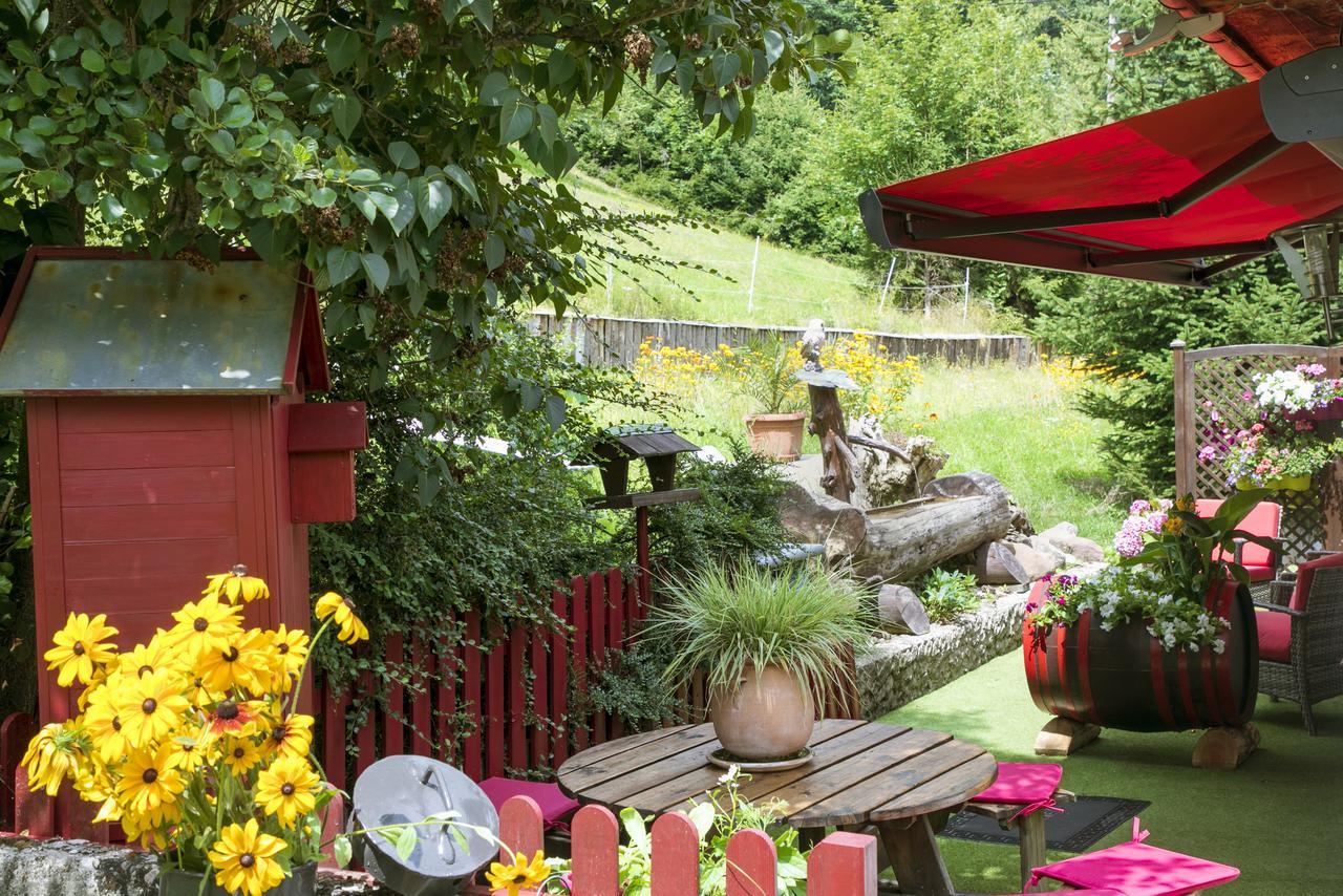 Gite Chez Mimie Breitenbach-Haut-Rhin Extérieur photo