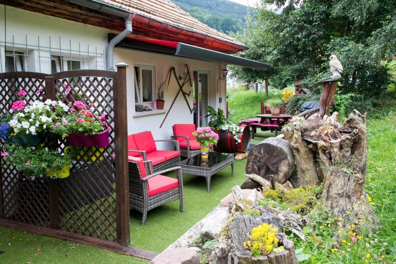 Gite Chez Mimie Breitenbach-Haut-Rhin Extérieur photo